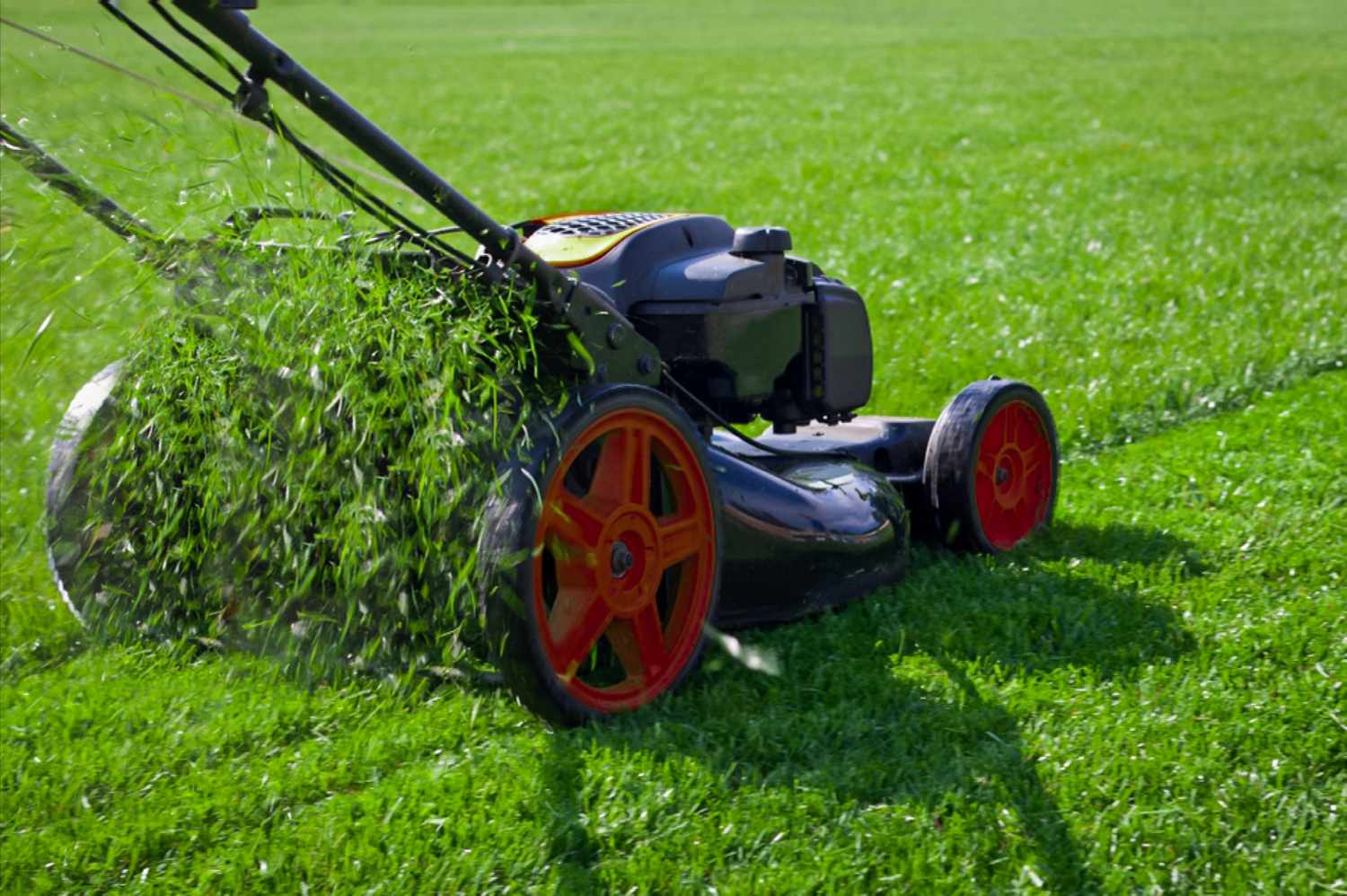 lawn care eagan